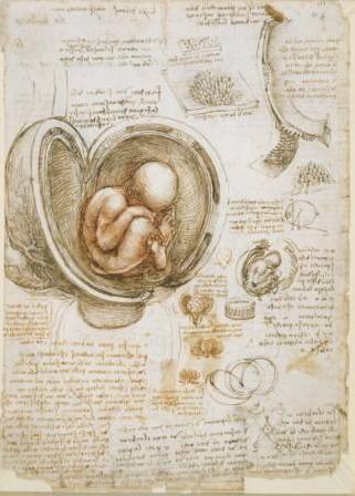1.	Leonardo da Vinci: Anatomy   Credit line: The Royal Collection (c) 2011, Her Majesty Queen Elizabeth II   This photograph is issued to end-user media only. It may be used ONCE ONLY in connection with the exhibition of Leonardo da Vinci: Anatomy, The Queen's Gallery, Buckingham Palace, 4 May - 7 October 2012. 